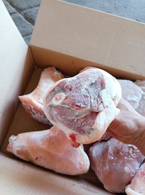 山東臨沂蘭山區豬副產品批發概覽 優質豬肘子，價格親民